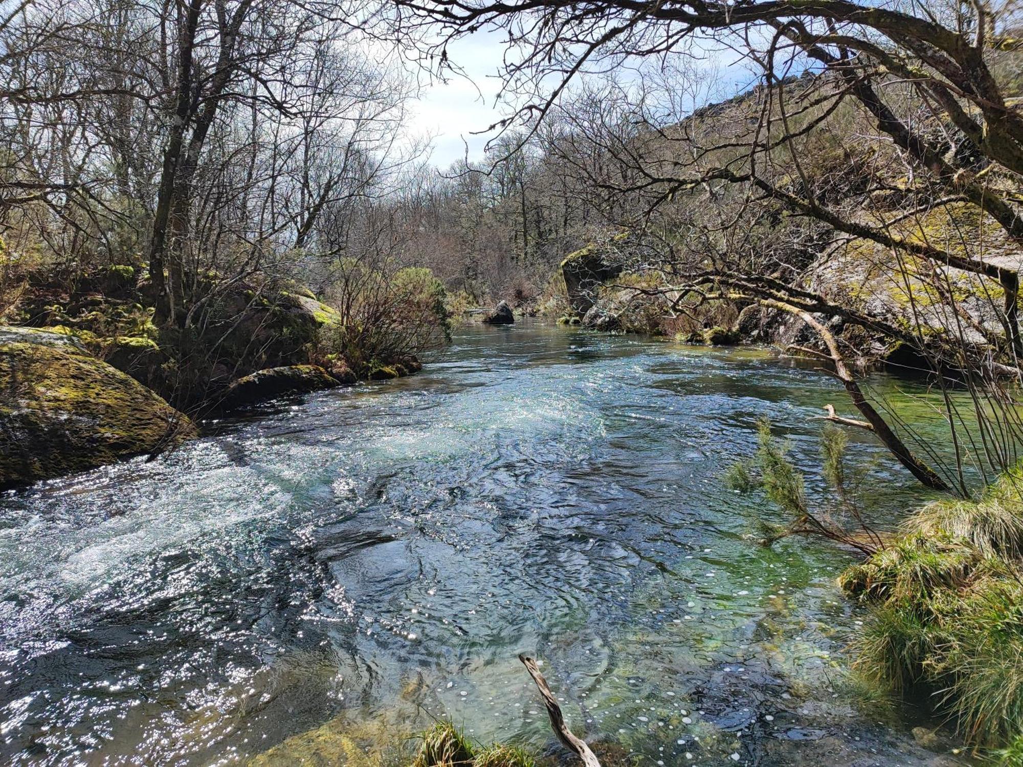 Moinhos Do Poco Verde - Nova Gestao Каштру-Лаборейру Экстерьер фото